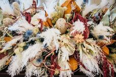 株式会社クリスタルインターナショナルのプレスリリース画像1