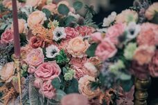 株式会社クリスタルインターナショナルのプレスリリース画像3