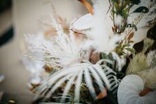 株式会社クリスタルインターナショナルのプレスリリース画像2