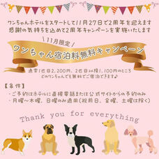 株式会社クリスタルインターナショナルのプレスリリース画像1