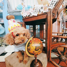 株式会社クリスタルインターナショナルのプレスリリース画像2