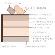 株式会社クリスタルインターナショナルのプレスリリース画像4