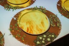 株式会社クリスタルインターナショナルのプレスリリース画像10