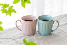 株式会社クリスタルインターナショナルのプレスリリース画像3