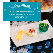 株式会社クリスタルインターナショナルのプレスリリース画像3