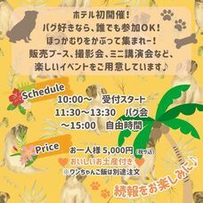 株式会社クリスタルインターナショナルのプレスリリース画像8