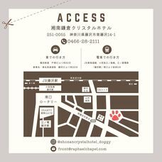 株式会社クリスタルインターナショナルのプレスリリース画像7