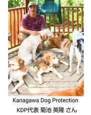 株式会社クリスタルインターナショナルのプレスリリース画像5