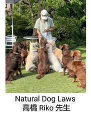 株式会社クリスタルインターナショナルのプレスリリース画像7