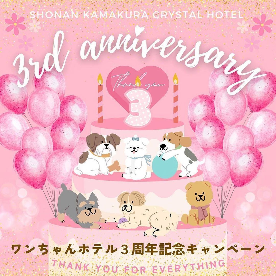 愛犬と泊まれる湘南の「ワンちゃんホテル」が誕生3周年記念