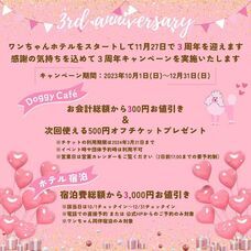 株式会社クリスタルインターナショナルのプレスリリース画像4