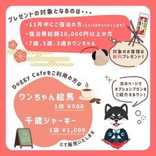 株式会社クリスタルインターナショナルのプレスリリース画像7