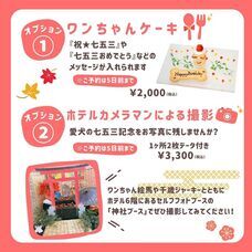 株式会社クリスタルインターナショナルのプレスリリース画像8