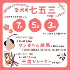 株式会社クリスタルインターナショナルのプレスリリース画像3