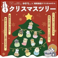 株式会社クリスタルインターナショナルのプレスリリース画像3