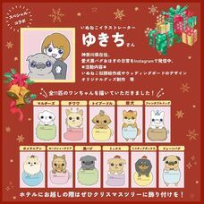 株式会社クリスタルインターナショナルのプレスリリース画像7