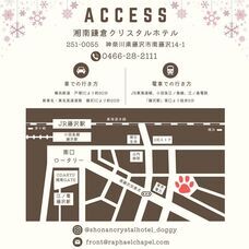 株式会社クリスタルインターナショナルのプレスリリース画像8