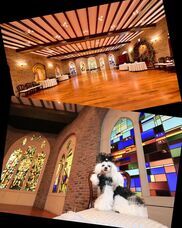 株式会社クリスタルインターナショナルのプレスリリース画像6