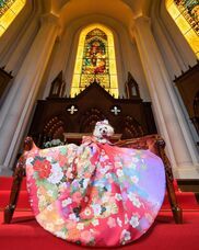 株式会社クリスタルインターナショナルのプレスリリース画像2