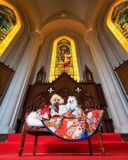 株式会社クリスタルインターナショナルのプレスリリース画像4