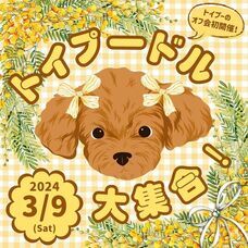 株式会社クリスタルインターナショナルのプレスリリース画像4