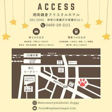 株式会社クリスタルインターナショナルのプレスリリース画像8