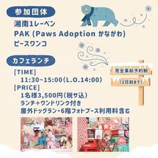 株式会社クリスタルインターナショナルのプレスリリース画像4