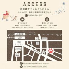 株式会社クリスタルインターナショナルのプレスリリース画像7