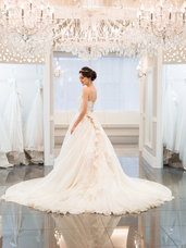 株式会社クリスタルインターナショナルのプレスリリース画像1