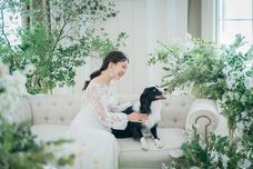 株式会社クリスタルインターナショナルのプレスリリース画像8