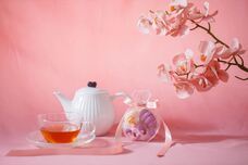 株式会社クリスタルインターナショナルのプレスリリース画像7