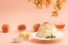 株式会社クリスタルインターナショナルのプレスリリース画像4