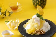 株式会社クリスタルインターナショナルのプレスリリース画像5