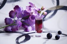 株式会社クリスタルインターナショナルのプレスリリース画像5