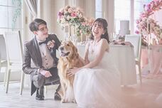 株式会社クリスタルインターナショナルのプレスリリース画像4