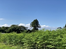 株式会社Aman-Styleのプレスリリース画像2