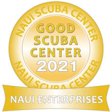 株式会社ナウイエンタープライズのプレスリリース画像1