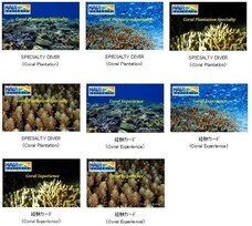 株式会社ナウイエンタープライズのプレスリリース画像1