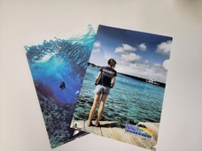 株式会社ナウイエンタープライズのプレスリリース画像4