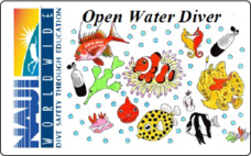 株式会社ナウイエンタープライズのプレスリリース画像1