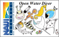 株式会社ナウイエンタープライズのプレスリリース画像3