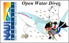 株式会社ナウイエンタープライズのプレスリリース画像2