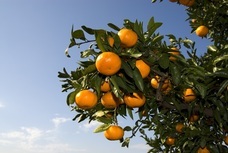 株式会社スマイル‐リンクのプレスリリース画像1