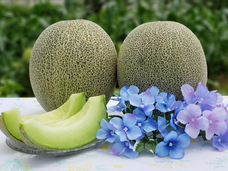 あったか野菜農園のプレスリリース画像3