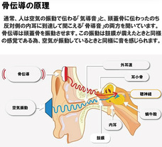 株式会社ベルクレールのプレスリリース画像1