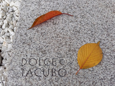 田所裕樹建築設計事務所のプレスリリース画像6