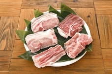 株式会社Gbiateのプレスリリース画像3