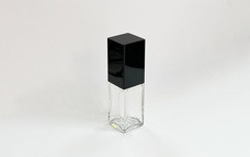 株式会社プラシーズのプレスリリース画像4