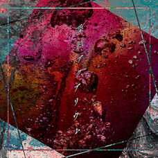 株式会社ワンコネクトのプレスリリース画像2