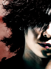 株式会社ワンコネクトのプレスリリース画像1